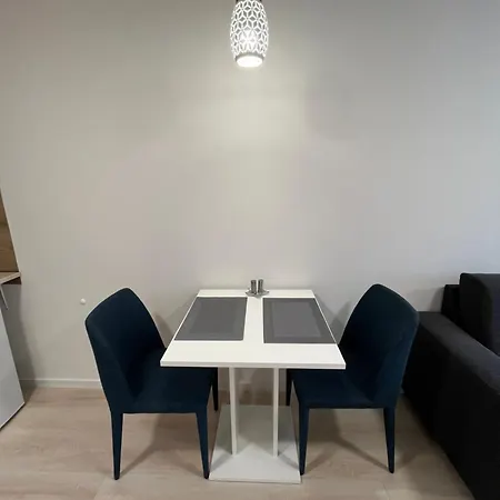 Stylish In The Heart Of The Near Aupark And The Main Station Apartment